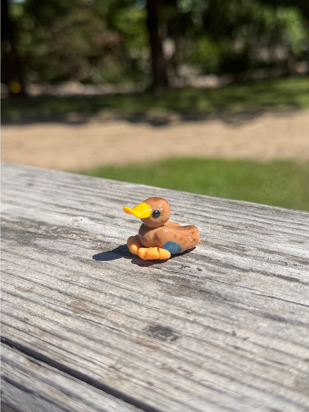 Mini mama mallard